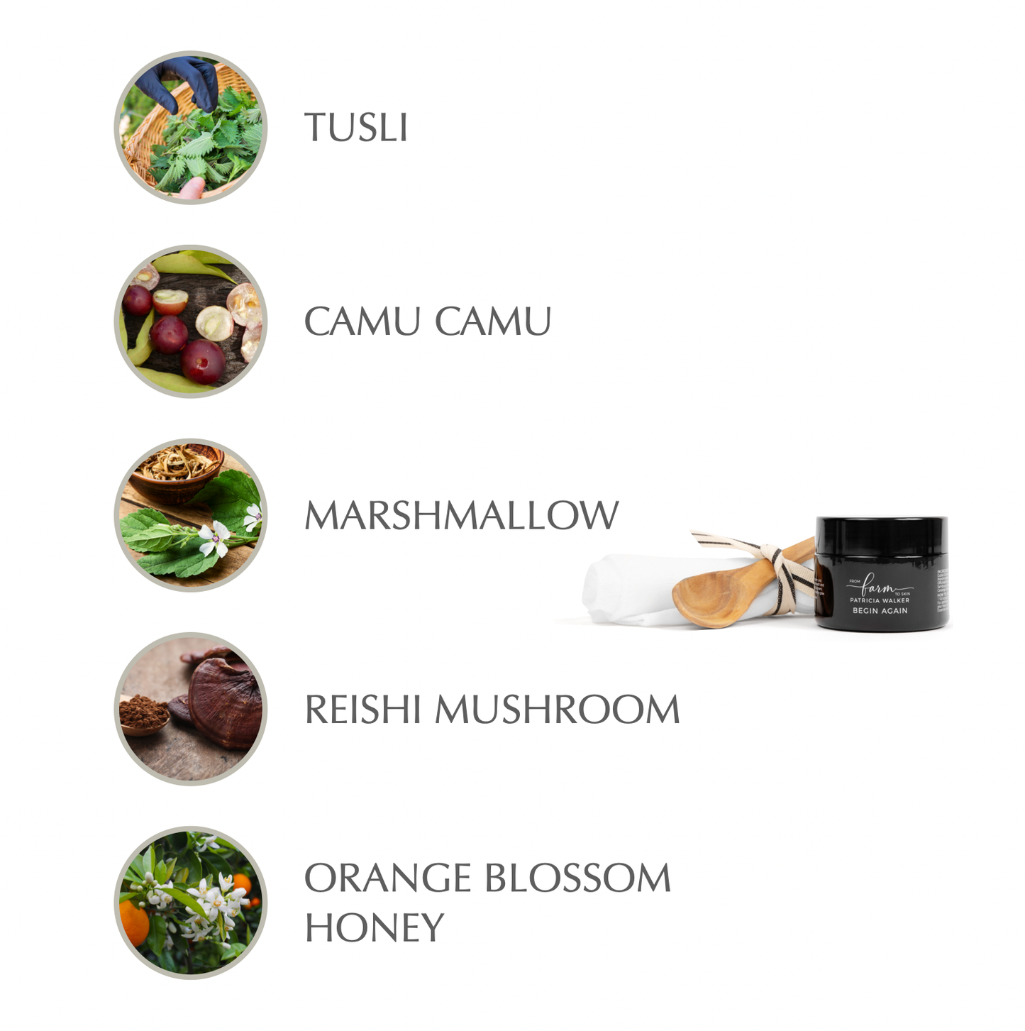 Begin Again Brightening Buff and Masque