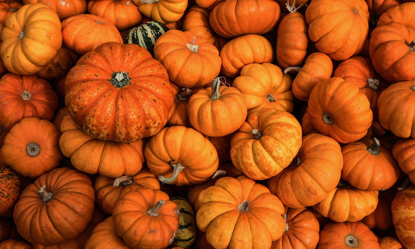 Hey, Pumpkin!