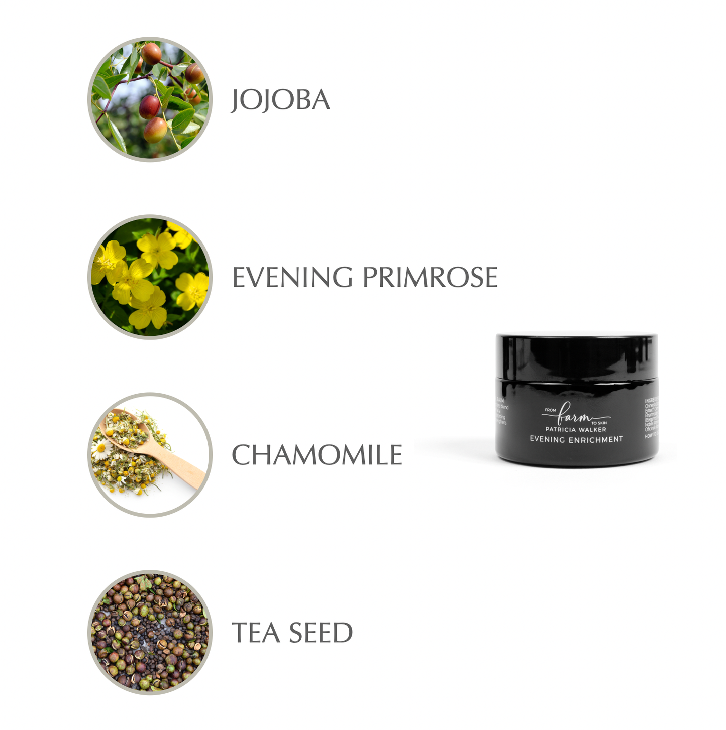 Evening Enrichment Facial Moisturizer