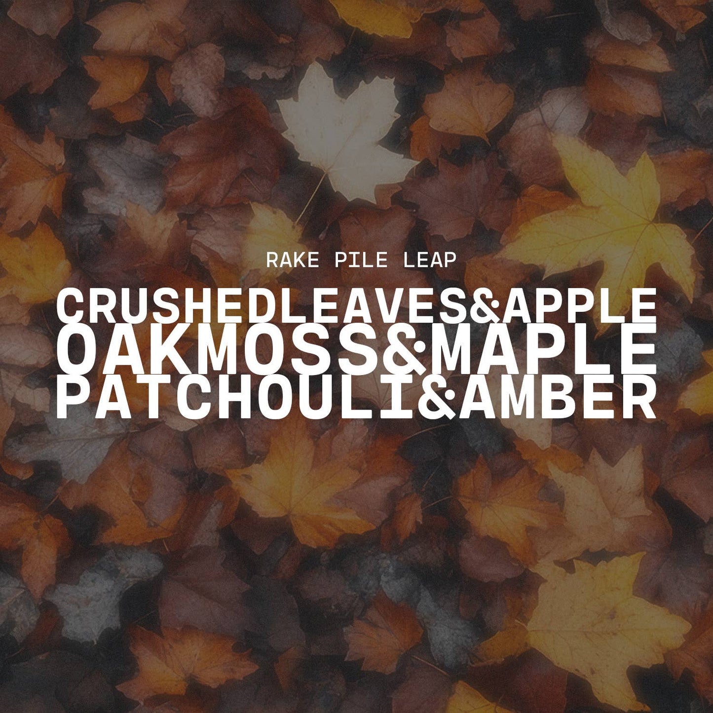 Rake, Pile, Leap!
