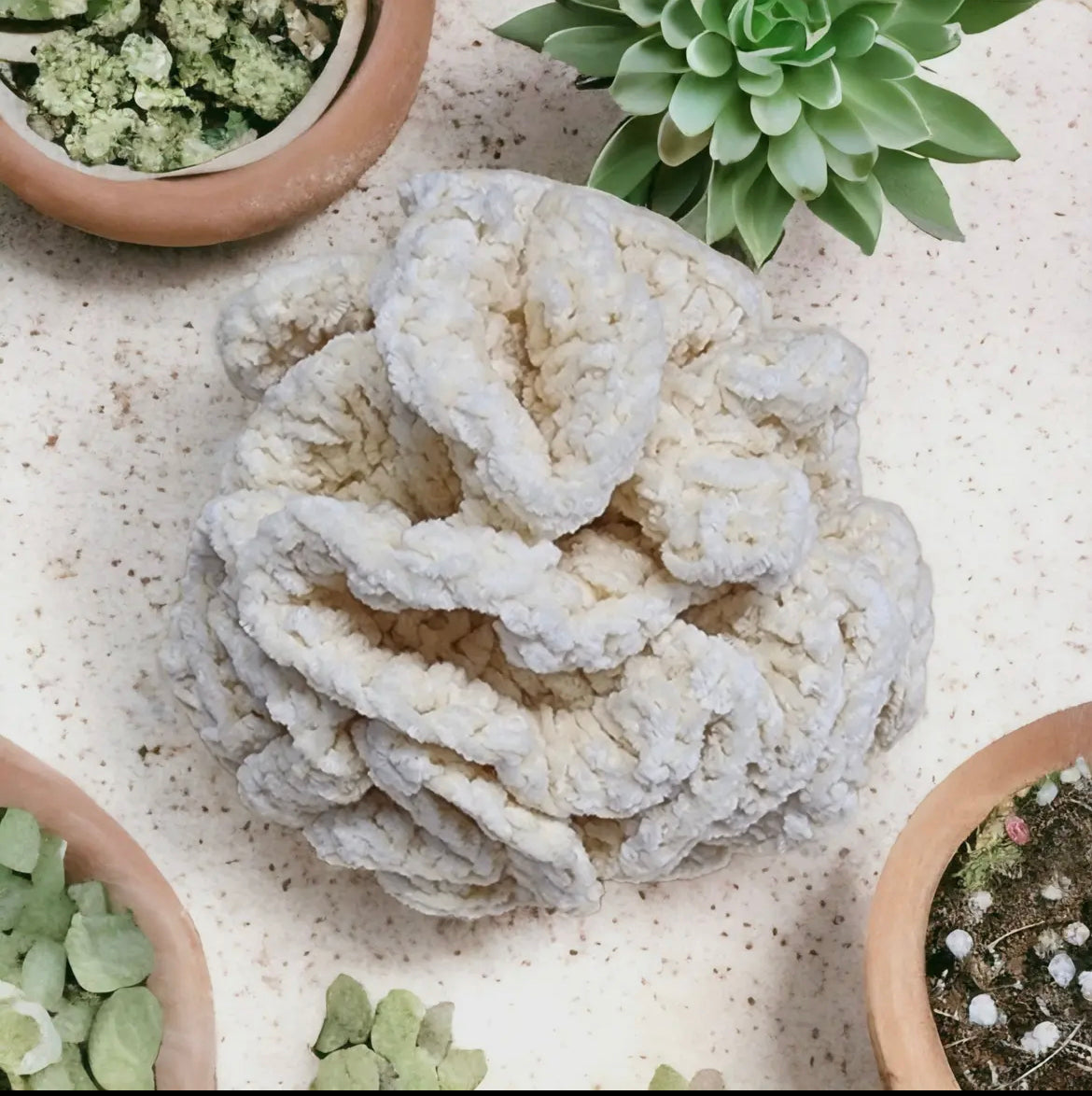 Cotton Shower Pouf